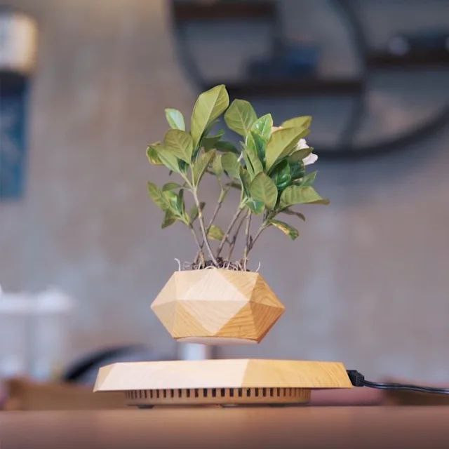 گلدون معلق مغناطیسی