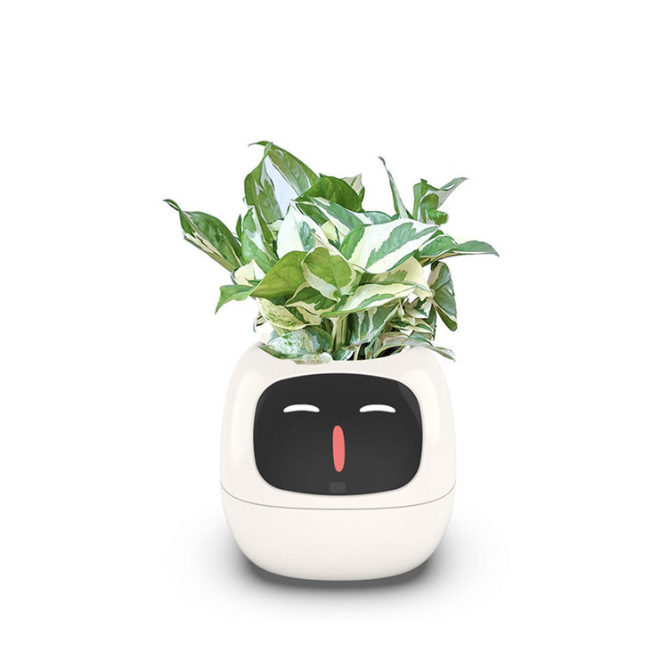 گلدان هوشمند Smart Plant Ivy با سیستم آبیاری خودکار و کنترل از طریق اپلیکیشن