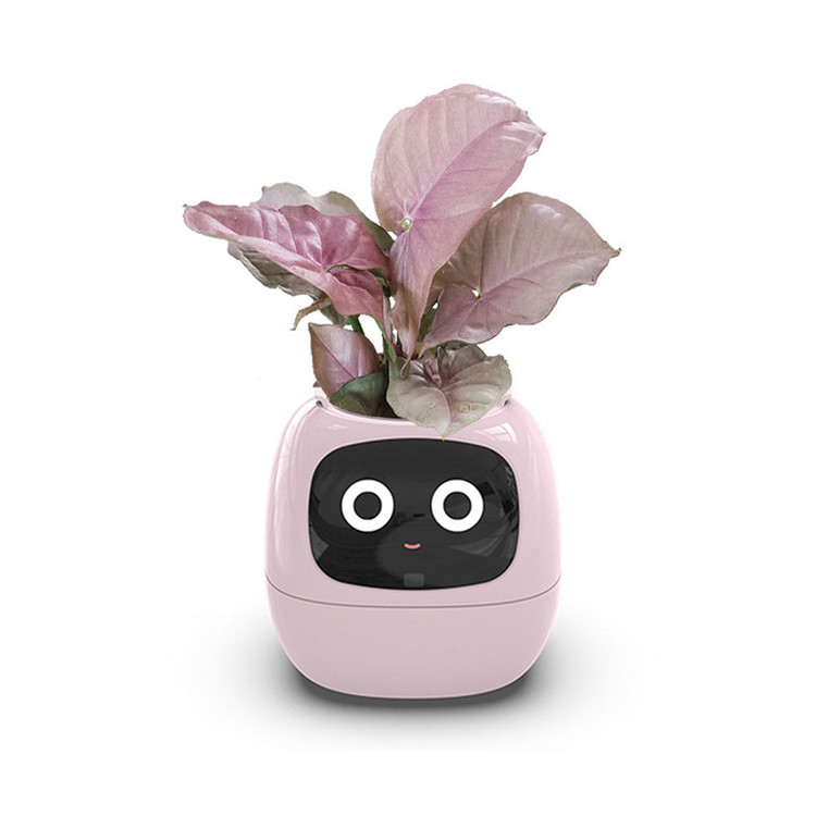 گلدان هوشمند Smart Plant Ivy با سیستم آبیاری خودکار و کنترل از طریق اپلیکیشن