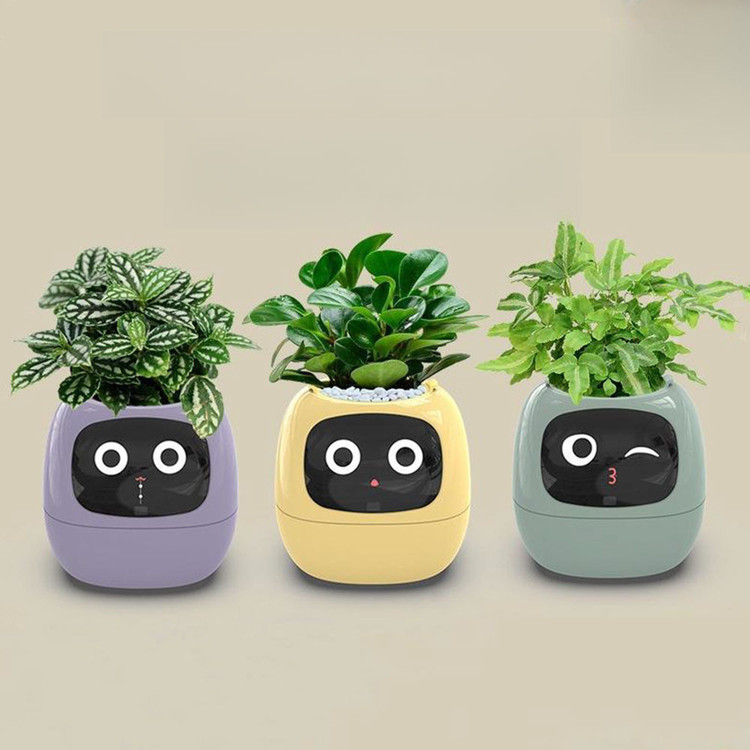 گلدان هوشمند Smart Plant Ivy با سیستم آبیاری خودکار و کنترل از طریق اپلیکیشن