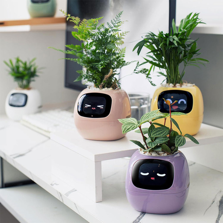 گلدان هوشمند Smart Plant Ivy با سیستم آبیاری خودکار و کنترل از طریق اپلیکیشن