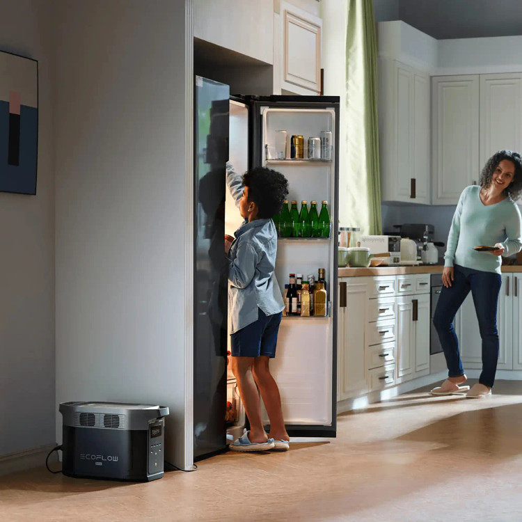 پاور استیشن اکوفلو 2400 وات - DELTA 2 MAX